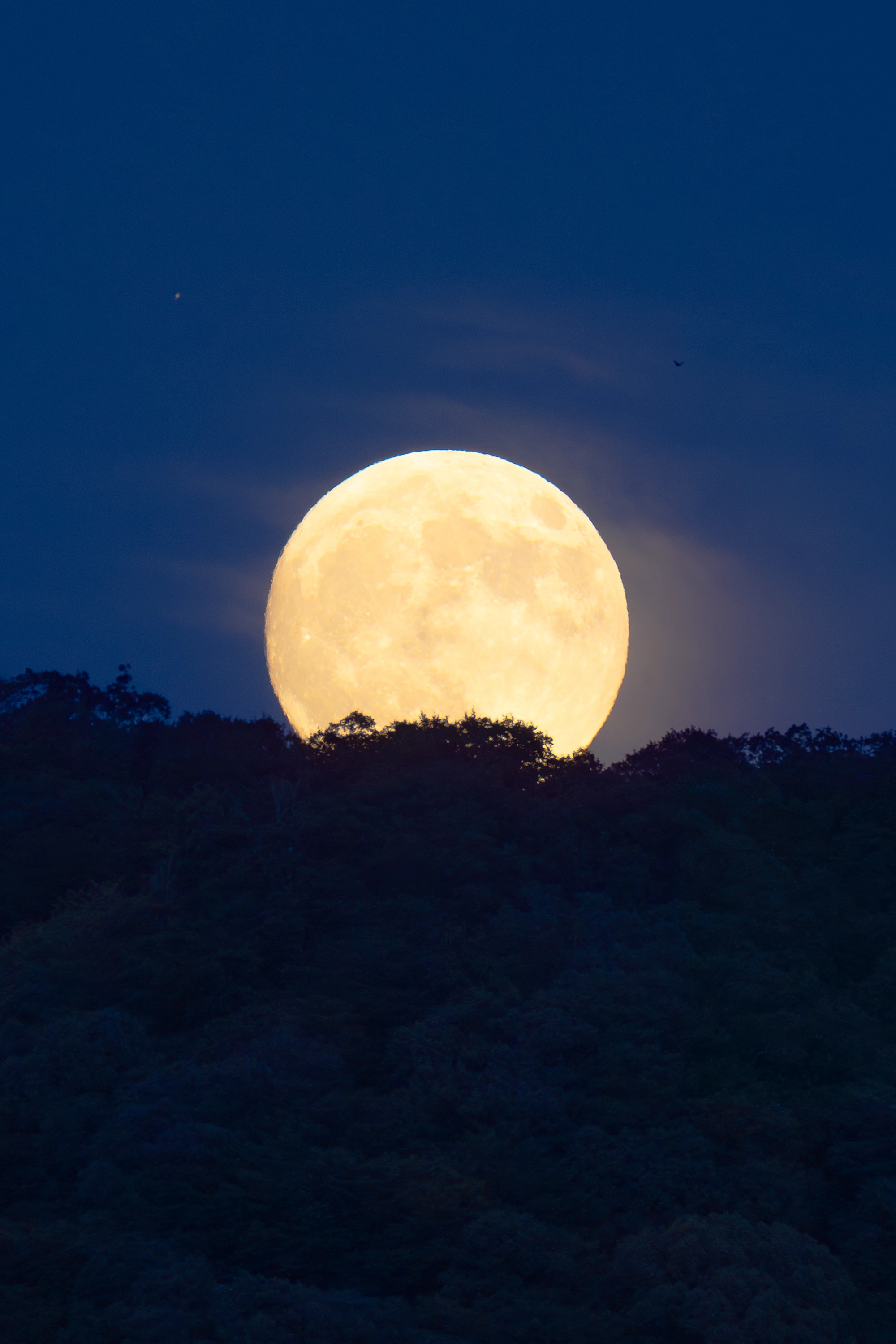 Full moon image taken in Kyoto