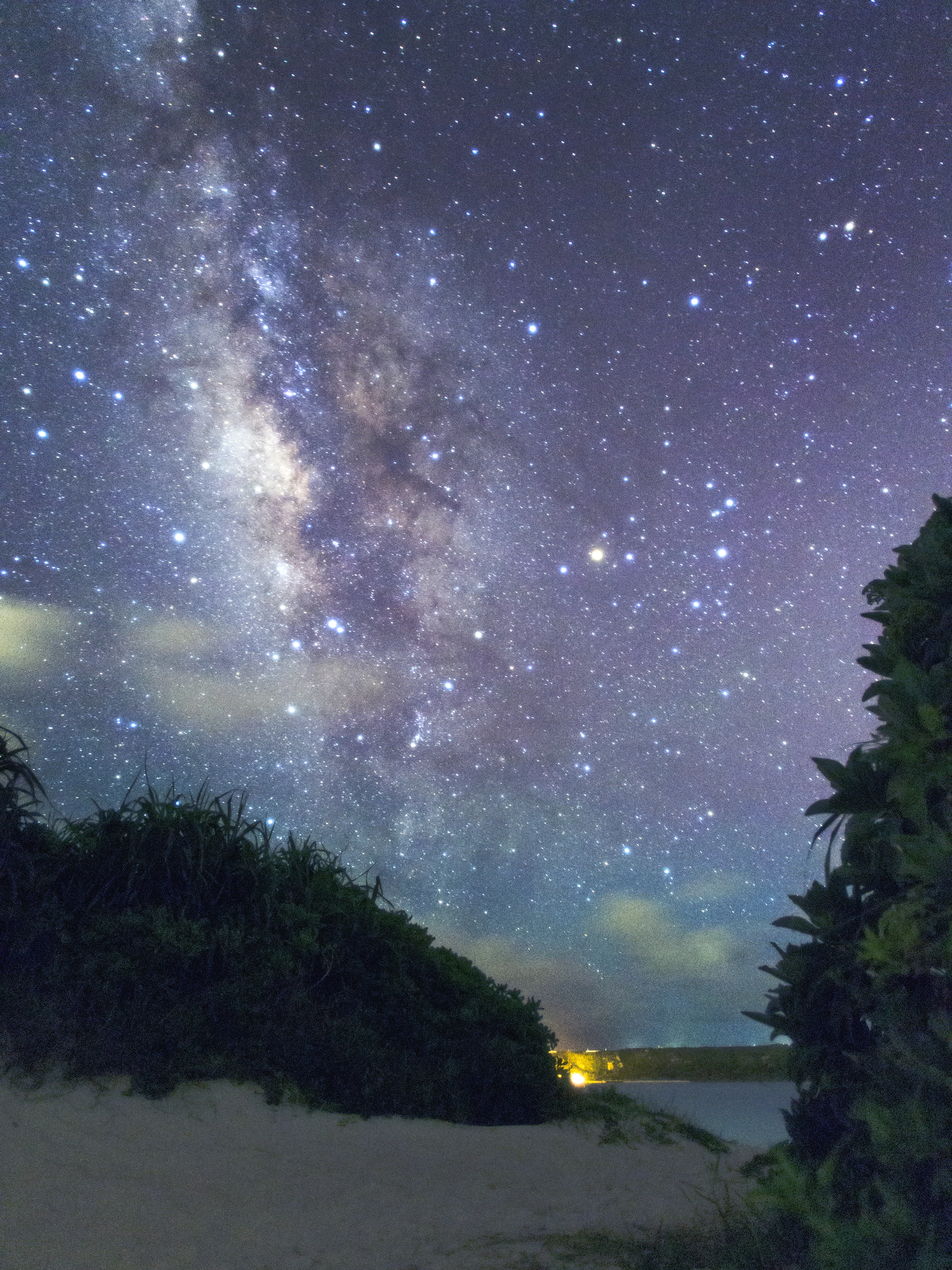 perseids